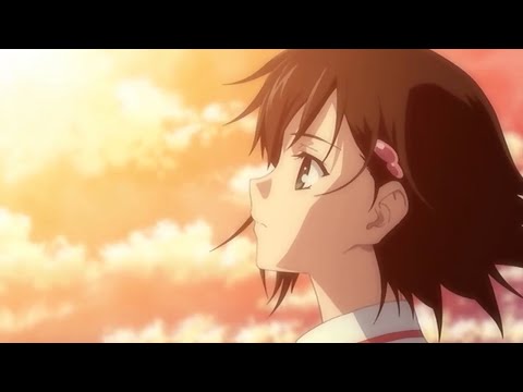 Festival of Life - AMV