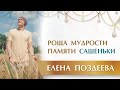 Роща Мудрости Памяти Сашеньки. Александр Редькин