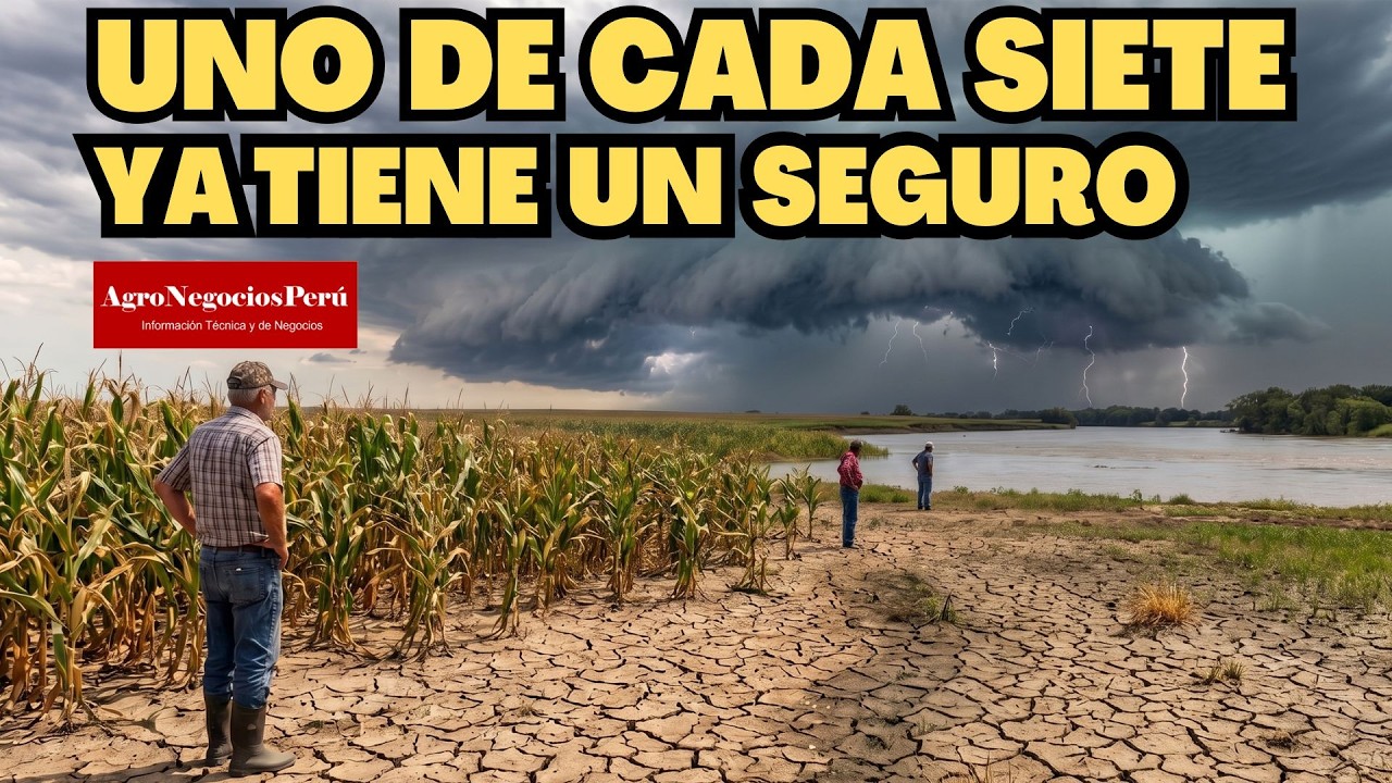 Recomiendan tomar seguros contra estragos de El Niño