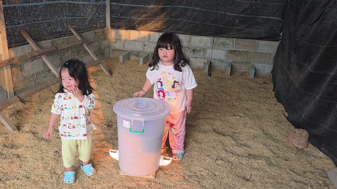 ลูกไก่ของชั้นนะ