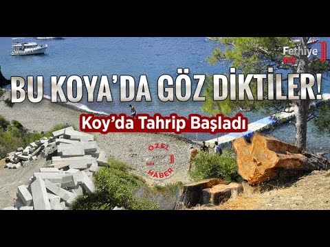 BU KOYA’DA GÖZ DİKTİLER