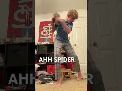 Lokey no spider but still funny #funny