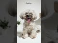 Reality vs Linked-In..! #funny #linkedin #reality