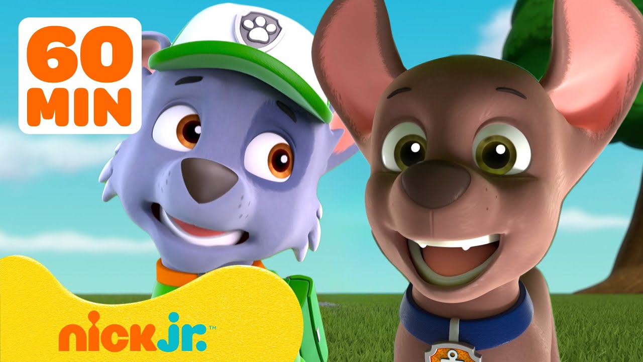 Paw Patrol | ¡PAW Patrol Tiene Muchos Sentimientos! Con Rocky y Zuma | Nick Jr. en Español