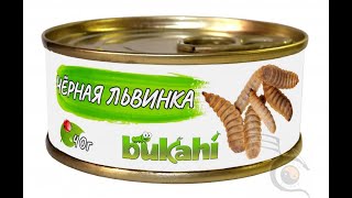 В РФ производят продукты из личинок мухи Черной Львинки, а промышленный кaнниб@ли3м не беспокоит?
