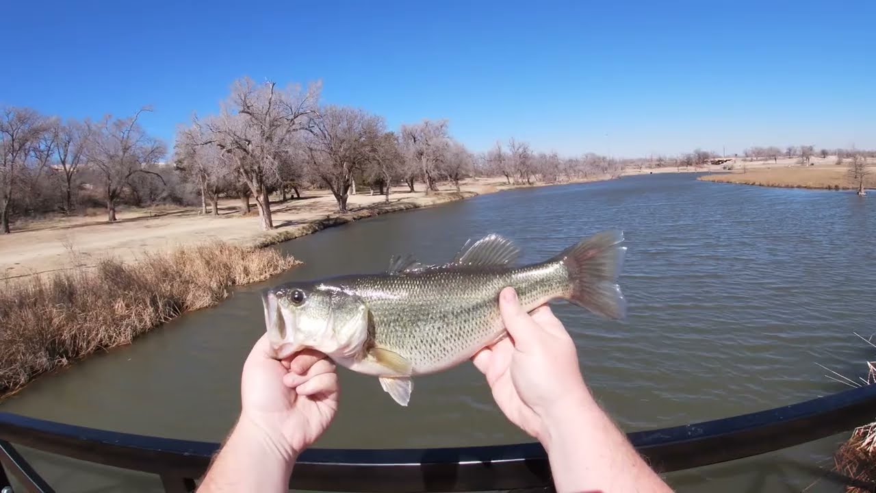 BIG BASS on the FIRST CAST!