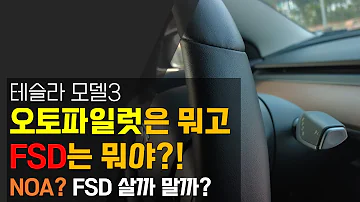 테슬라 모델3 자율주행 용어 완벽정리 오토파일럿 FSD NOA 도대체 뭐야 FSD 사야 할까 말아야 할까