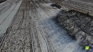 Remington Forest Point Cloud