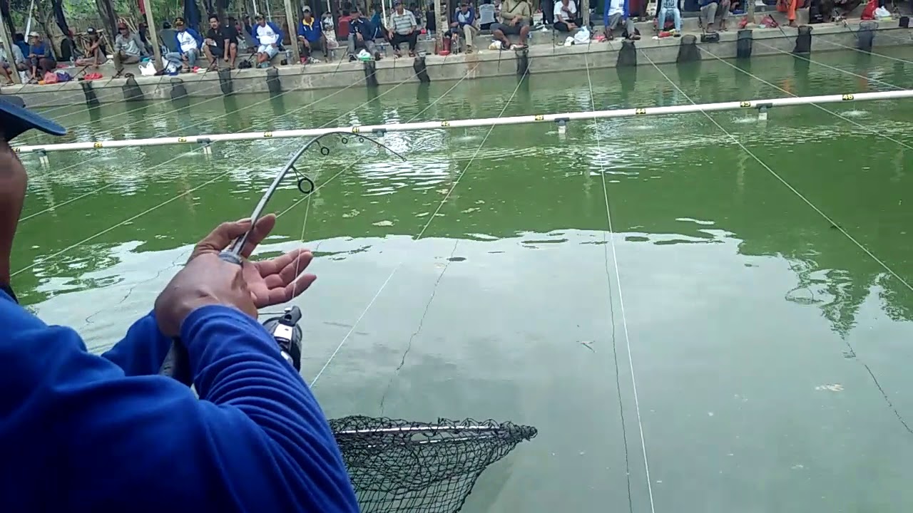 Bupati Bolmong Siapkan Hadiah Mobil Di Acara Lomba Mancing Totabuan Co