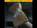 Top 10 amazing and intresting facts about human brain 🧠 | in hindi #fact #shorts Mp3 Song