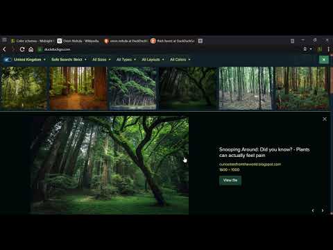 Midnight Lizard video preview 2