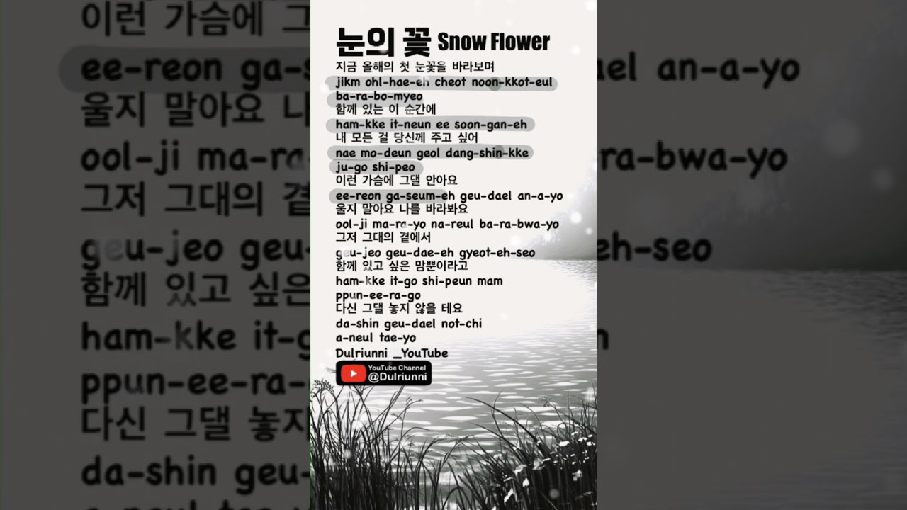 🌼 미안하다 사랑한다 - 눈의 꽃 Snow Flower | 박효신 🇰🇷 Park Hyo-Shin