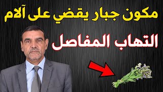 العلامة الفايد--نبتة معجزة تقضي على الآم التهاب المفاصل والساقين وآلام الظهر والركبة والعمود الفقري