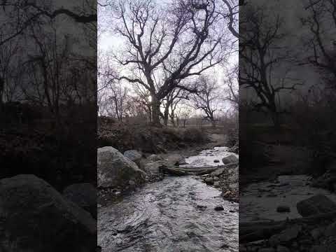 بامن دنبال شو تا بریم تو دل طبیعت طبیعت طبیعتگردی طبیعت گردی طبیعت دهکده طبیعت ایران طبیعت ناب