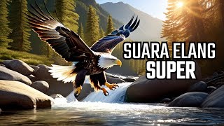 MASTERAN SUARA ELANG DAN GEMERCIK AIR MENGALIR 1 Jam FULL POWER KWALITAS SUPER