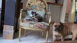 CONCOURS DE BISOUS