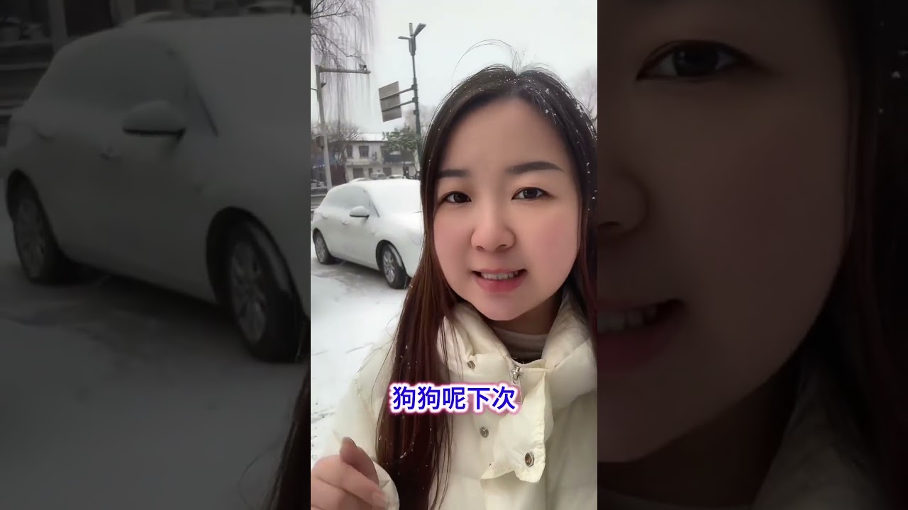 Master the Art of Choosing the Perfect Pooch: Quick Tips Inside