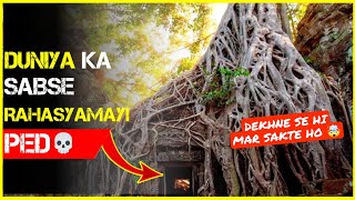 Duniya ka sabse khatarnak ped  | Toxic tree ? | #shorts #facts