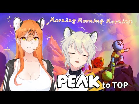 【PEAK】The cats’ parkour time With.BIG MEOW【#720】