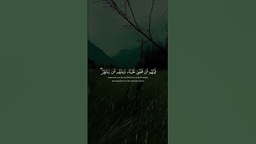 اكتب شي تؤجر عليه #قران_كريم #راحة_نفسية #صوت_جميل #تلاوة_خاشعة #2025 #explore #الانتشار_السريع