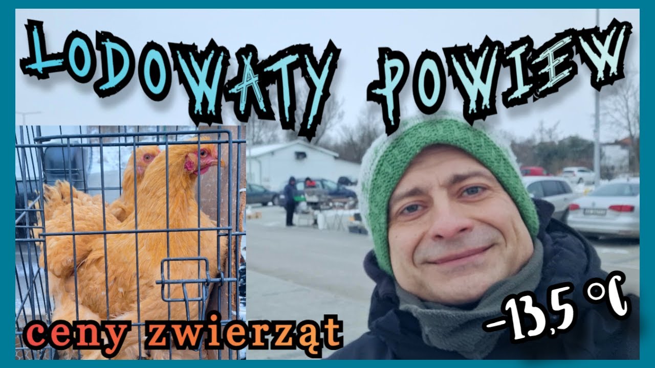 Giełda Proszowice | Morsowanie na sucho