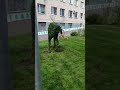 First Spring in Ohmatdyt’s Rehabilitation Garden 🌿 Therapeutic Gardening in the Hospital