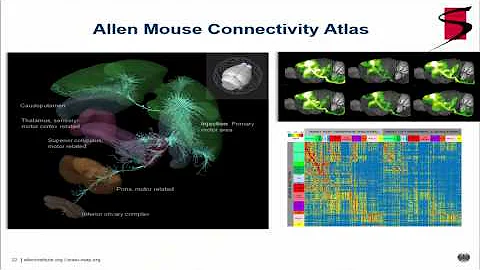 Michael Hawrylycz, Sackler Big Data Colloquium