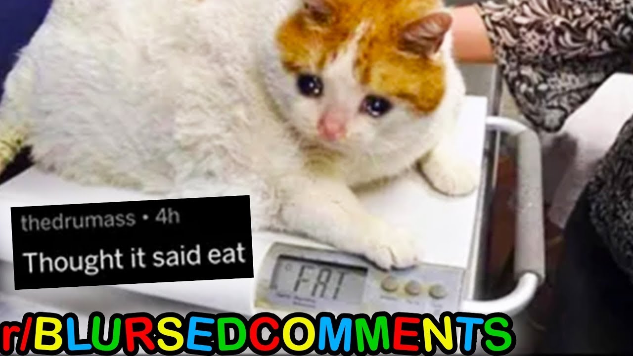 THE WORST OF R/BLURSEDCOMMENTS