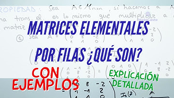 ¿QUÉ SON LAS MATRICES ELEMENTALES? | EJEMPLOS | EXPLICACIÓN DETALLADA