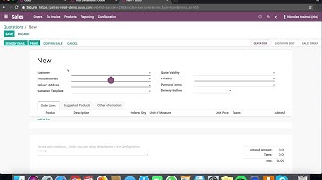 Odoo   Setting a Delivery Date