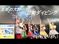 2026/04/25【豆柴の大群】ワンマンライブ『豆柴ダイビング』 ☆アニメ「ぐらんぶる」エンディング主題歌決定も☆  at Spotify O-WEST