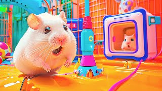 Hamster Encounter with the Secrets of the Most Mystical Maze 🐹 DIY Hamster Maze