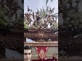 San José en la Plaza San José a los sones de Lágrimas de Dolores | 2026