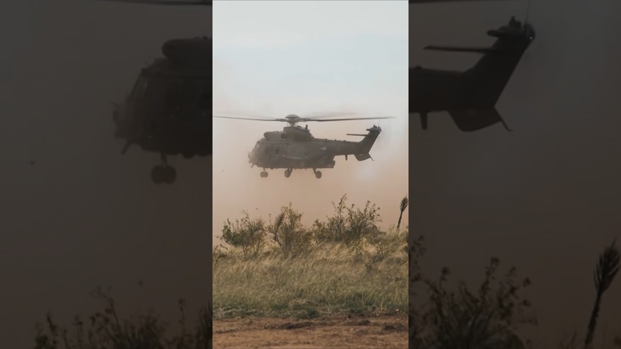 🇭🇺 NATO Allies in 