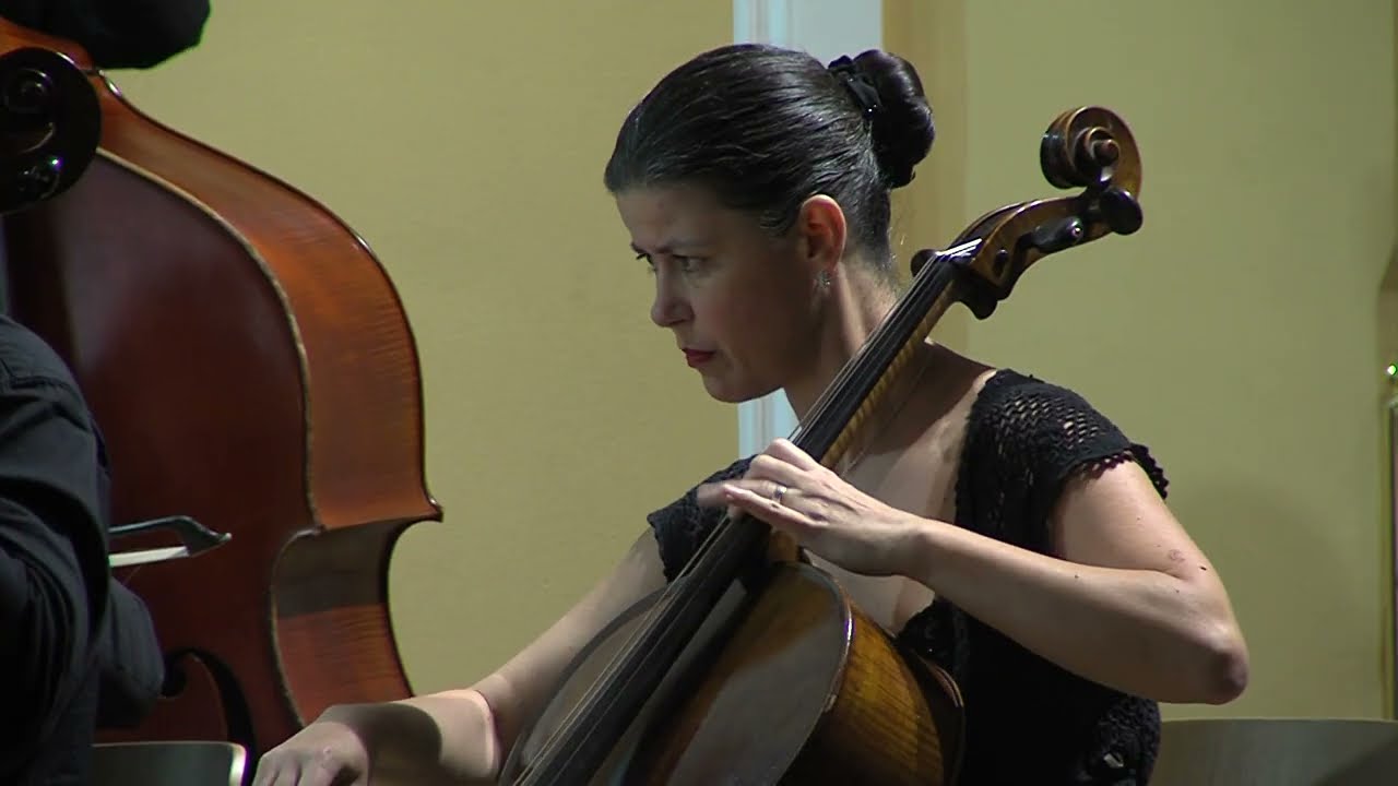 MINUTE ZA KULTURO 22.1.2026 - Koncert Celjskega godalnega orkestra