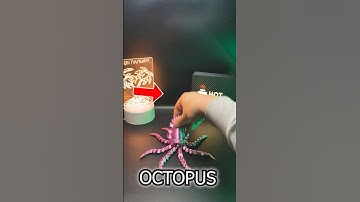 OCTOPUS #3dprinting #3d #timelapse
