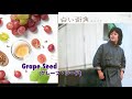 武川行秀(タケカワユキヒデ) - グレープ・シード (歌詞付き)