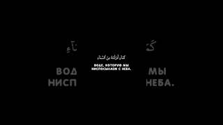 Чтец: «АбдурРахман Наджи» Сура: «Аль-Кахф» Аяты: «45-46»