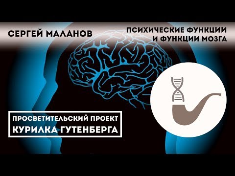 Сергей Маланов - Психические функции и функции мозга