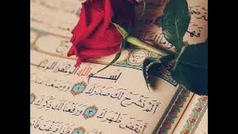 سورة الشرح مكررة سبعة مرات 🌹