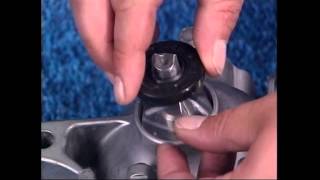 Zt-2800Zt-3100 Input Seal Replacement