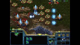 StarCraft Brood War - 1 Protoss vs 7 Zerg ( vs 7 computers ) - Big Game Hunters