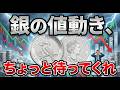 【暴騰から暴落へ】カワセミ銀貨と銀地金の値動きの話