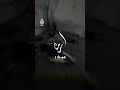 طفل فلسطيني يقوم بالتهوية تخفيفا على أمه الجريحة في خيمة علاج بقطاع غزة
