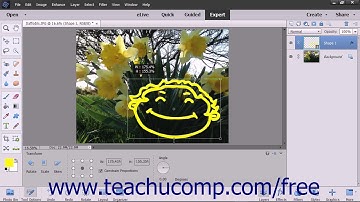 Photoshop Elements 2018 Tutorial Vector Graphics Adobe Training