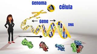 EXPRESION GENETICA