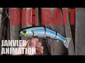 Animation des leurres  fisher box big bait janvier