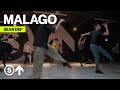 Malago The Bahama Soul Club Ft Danay Suarez Sean Def Choreography 