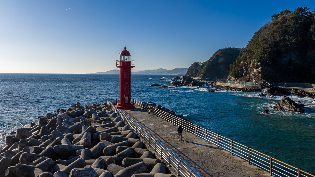 260218 겨울 끝자락의 강릉 헌화로 (#강릉 #헌화로 #avata2 #mavic4pro )