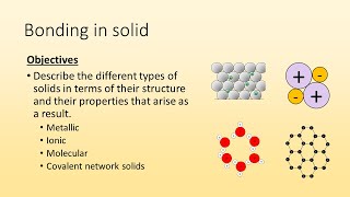 Celebrity Types of Solids Wealth